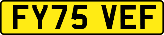 FY75VEF
