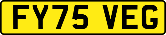 FY75VEG