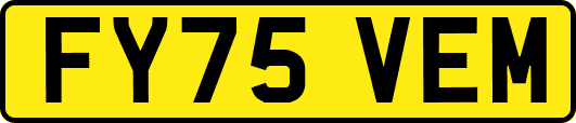 FY75VEM