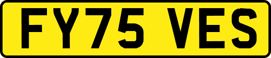 FY75VES