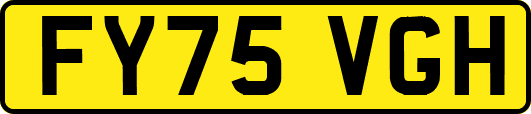FY75VGH