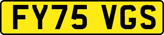 FY75VGS