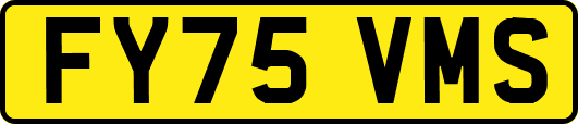 FY75VMS