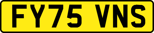 FY75VNS