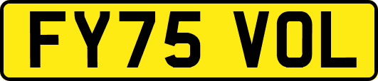 FY75VOL