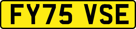 FY75VSE