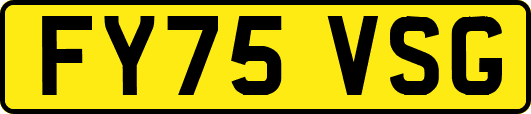 FY75VSG