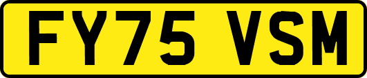 FY75VSM