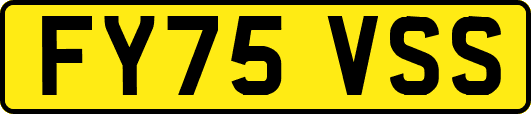 FY75VSS