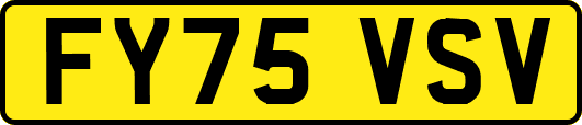 FY75VSV