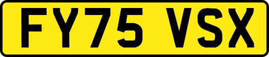 FY75VSX