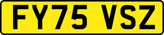 FY75VSZ