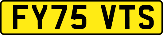 FY75VTS