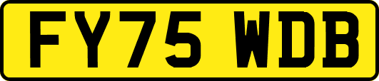 FY75WDB