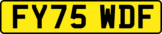 FY75WDF