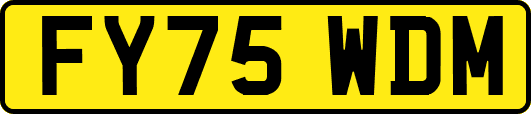FY75WDM