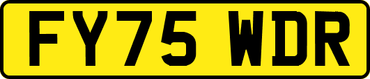 FY75WDR
