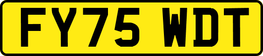 FY75WDT