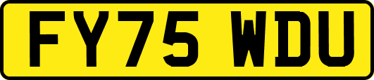 FY75WDU