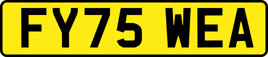 FY75WEA