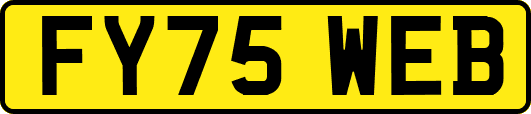 FY75WEB