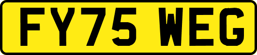 FY75WEG