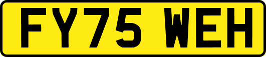 FY75WEH