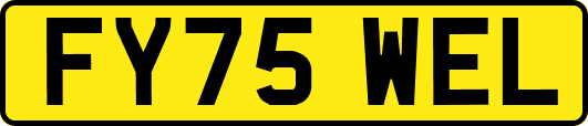 FY75WEL