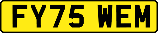 FY75WEM