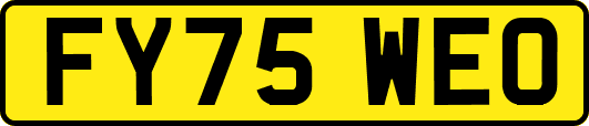 FY75WEO