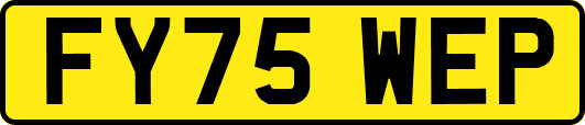 FY75WEP
