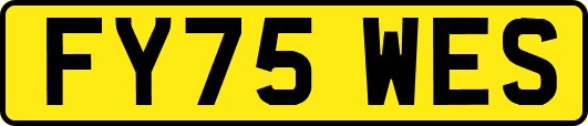 FY75WES