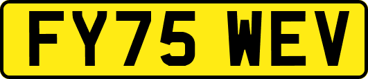 FY75WEV