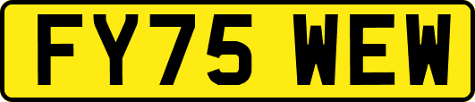 FY75WEW