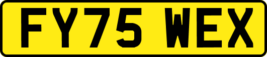 FY75WEX