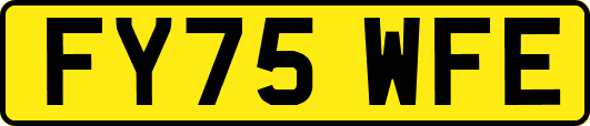 FY75WFE