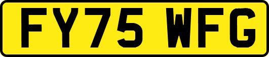 FY75WFG