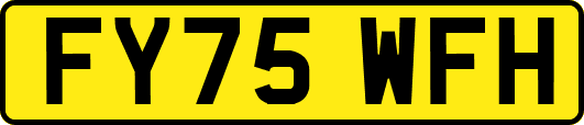 FY75WFH