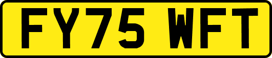 FY75WFT