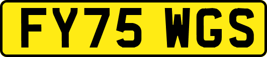 FY75WGS