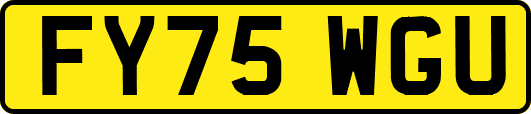 FY75WGU