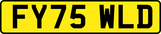 FY75WLD