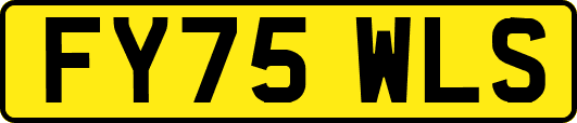 FY75WLS