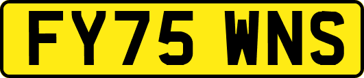 FY75WNS