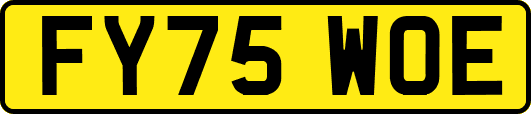 FY75WOE