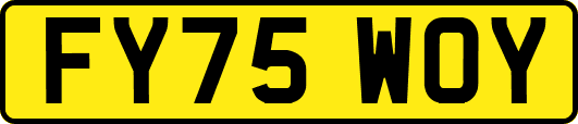 FY75WOY