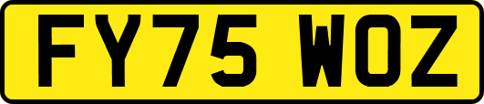 FY75WOZ