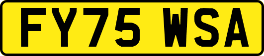 FY75WSA