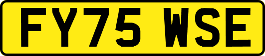 FY75WSE