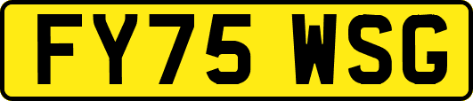 FY75WSG